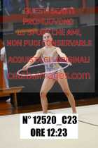 12520_C23
