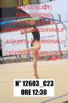 12603_C23