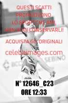12646_C23