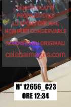 12656_C23
