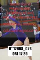12668_C23