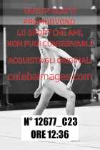 12677_C23