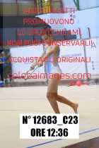 12683_C23
