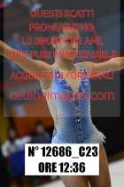 12686_C23