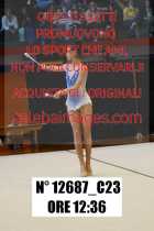 12687_C23