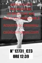 12731_C23