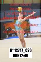 12747_C23