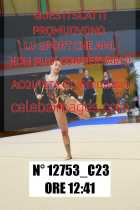 12753_C23