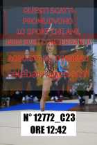 12772_C23