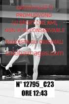 12795_C23