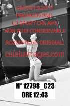 12798_C23