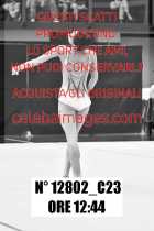 12802_C23