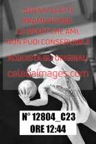12804_C23