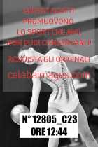 12805_C23
