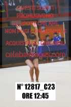 12817_C23