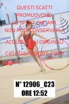 12906_C23