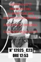 12925_C23