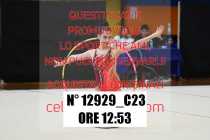 12929_C23