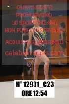 12931_C23