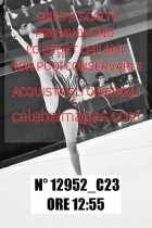 12952_C23