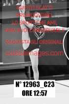 12963_C23