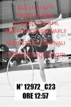 12972_C23