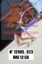 12985_C23