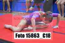 15863_C18