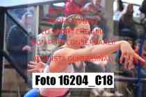 16204_C18