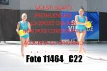 11464_C22