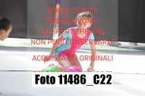 11486_C22