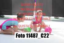 11487_C22