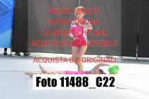 11488_C22