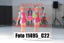 11495_C22