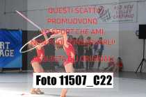 11507_C22