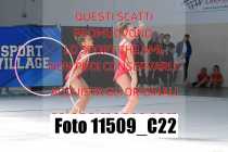 11509_C22