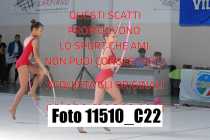 11510_C22