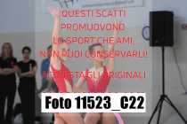11523_C22