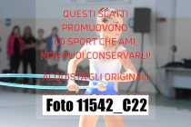 11542_C22