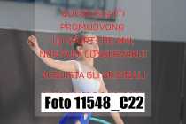 11548_C22