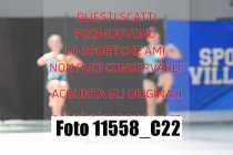 11558_C22