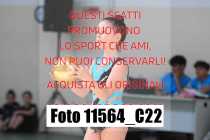 11564_C22