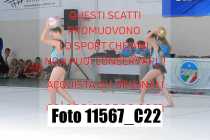 11567_C22