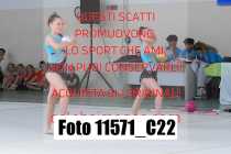 11571_C22