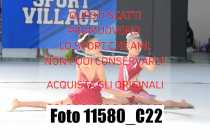 11580_C22