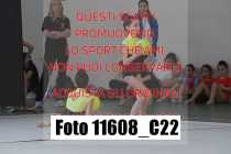 11608_C22