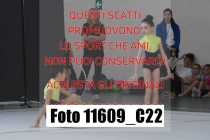 11609_C22