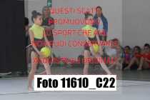 11610_C22
