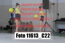 11613_C22
