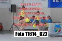 11614_C22